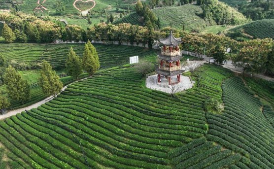 �����F���P�����������ɫ